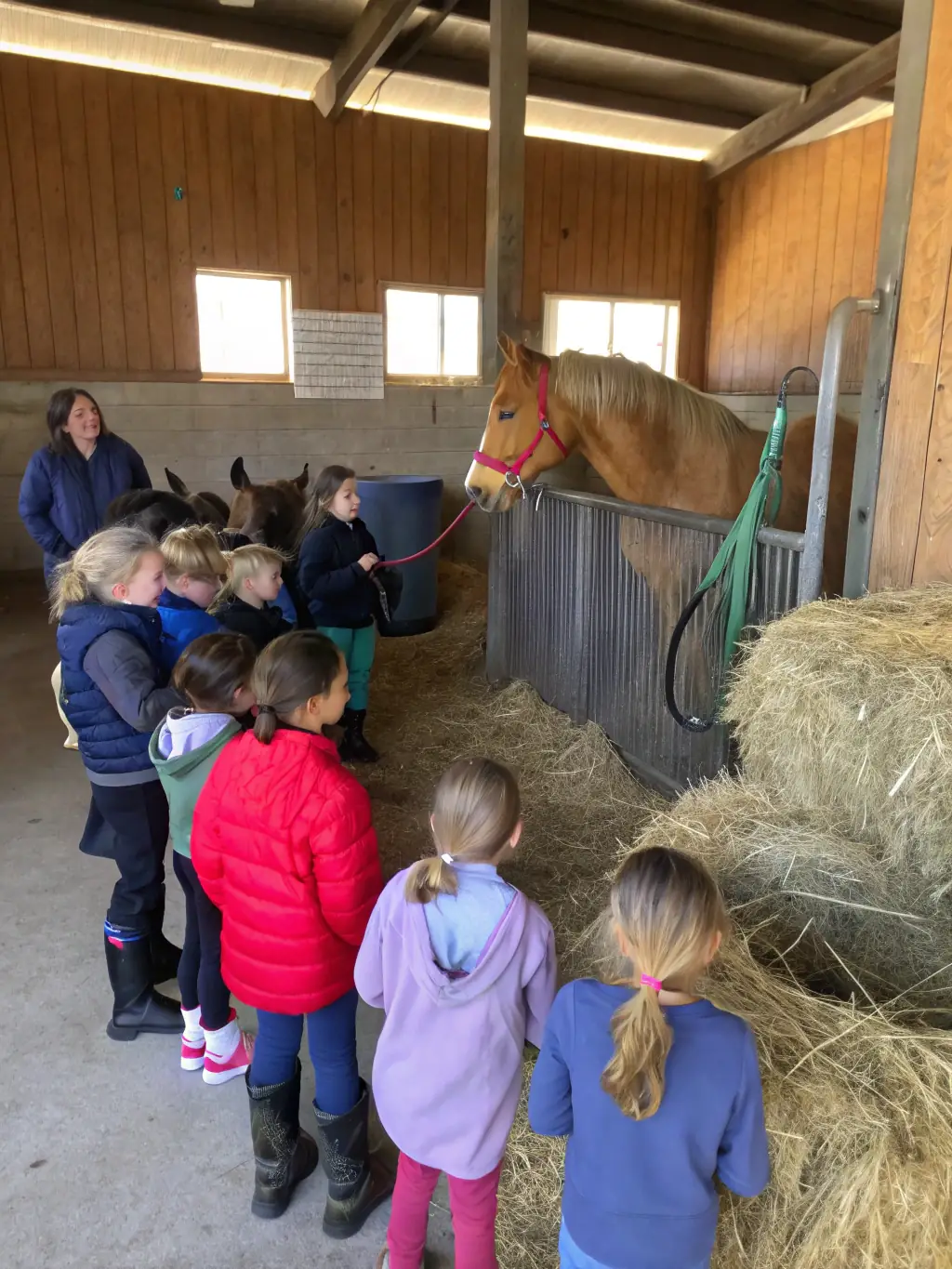 A group of children happily grooming ponies in a stable, showcasing the introductory pony care program at EQUIT'XPRESS DU COURET.